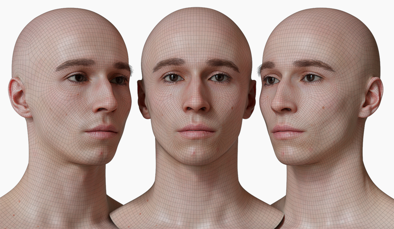 head model wireframe mesh